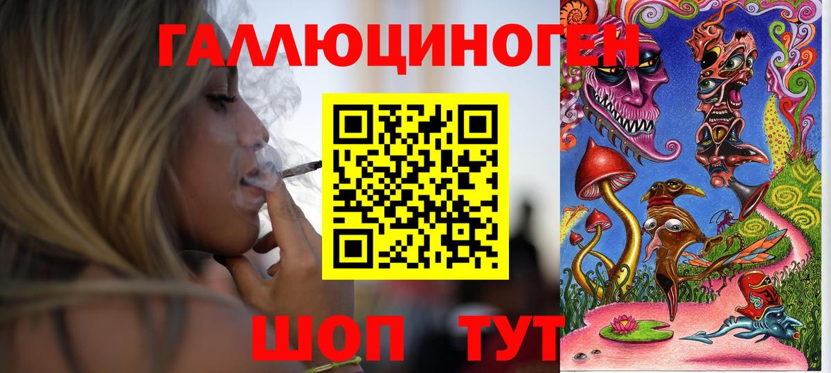 Псилоцибиновые грибы Psilocybe Нижний Новгород